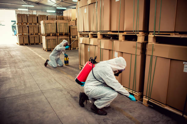 Best Mosquito Control Services  in Cutchogue, NY