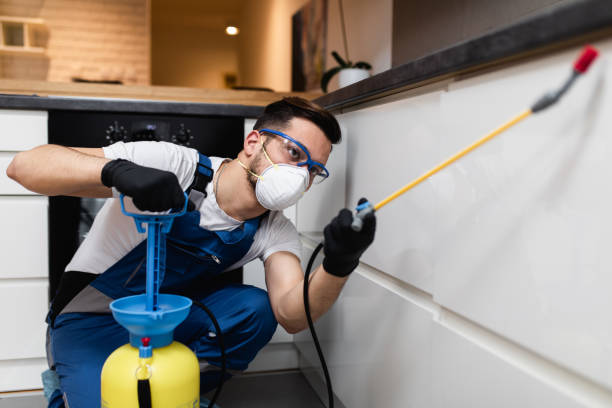 Best Wasp Removal Services  in Cutchogue, NY