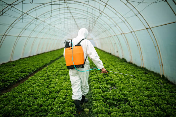 Best Pest Control Near Me  in Cutchogue, NY
