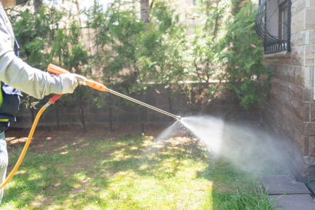Best Local Pest Control Services  in Cutchogue, NY